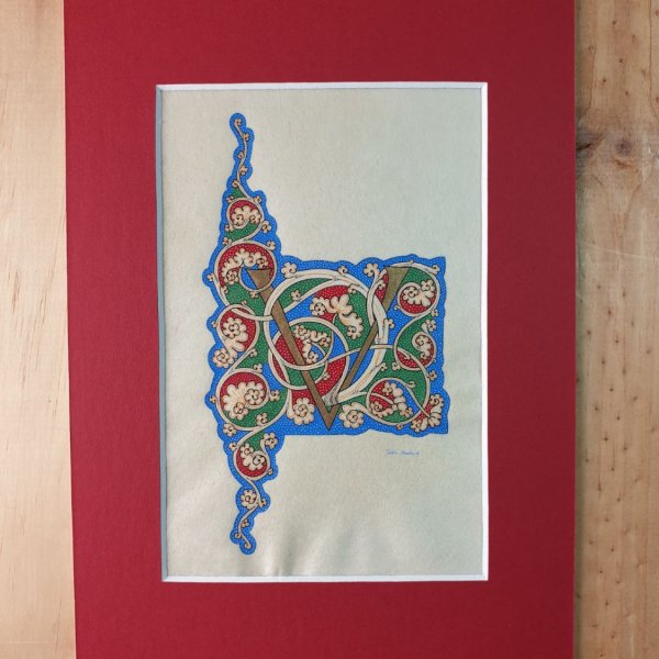 Letra iluminada V "videira branca